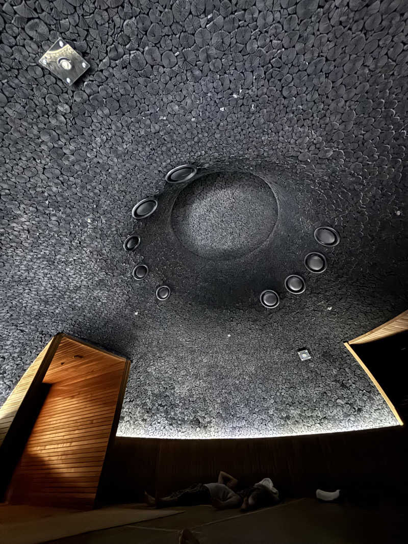 きまぐれサウナぼーいさんのAQUAFIELD GOYANGのサ活写真