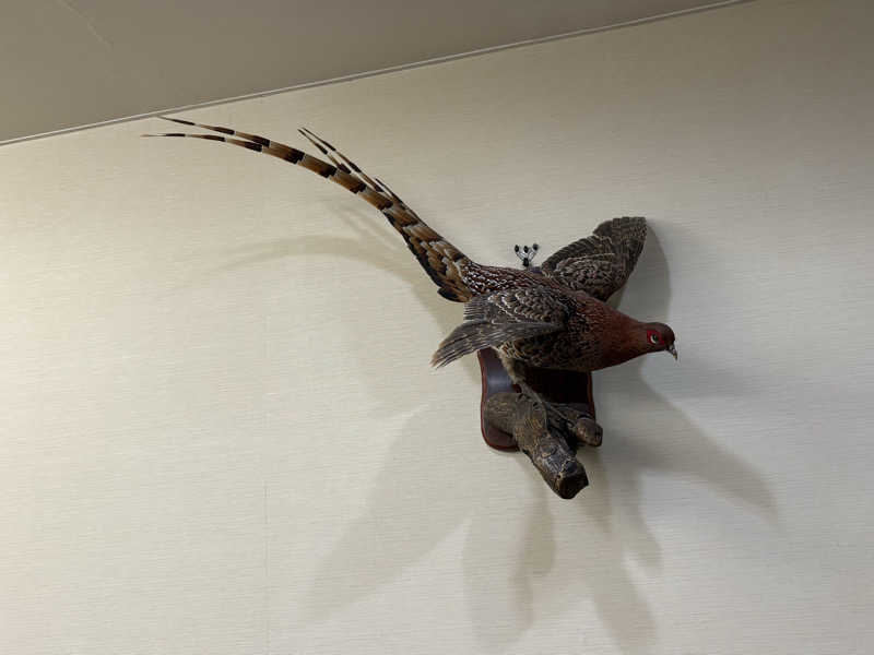 顔ハメは絶対やるのよさんの第二富士見湯のサ活写真