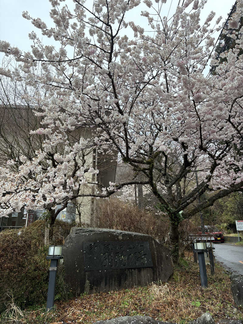 顔ハメは絶対やるのよさんの清川村ふれあいセンター 別所の湯のサ活写真