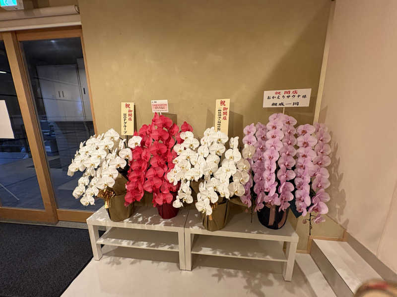 顔ハメは絶対やるのよさんのおかえりサウナ板橋のサ活写真