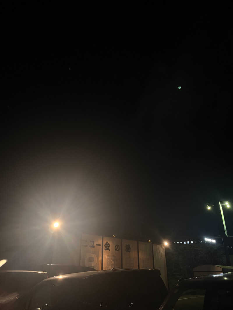 ちゃんもさんのニュー金の湯のサ活写真