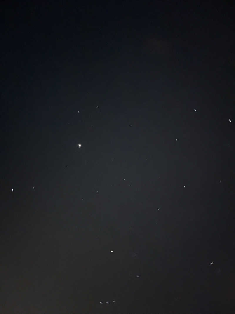 ちゃんもさんのホテル豊富のサ活写真