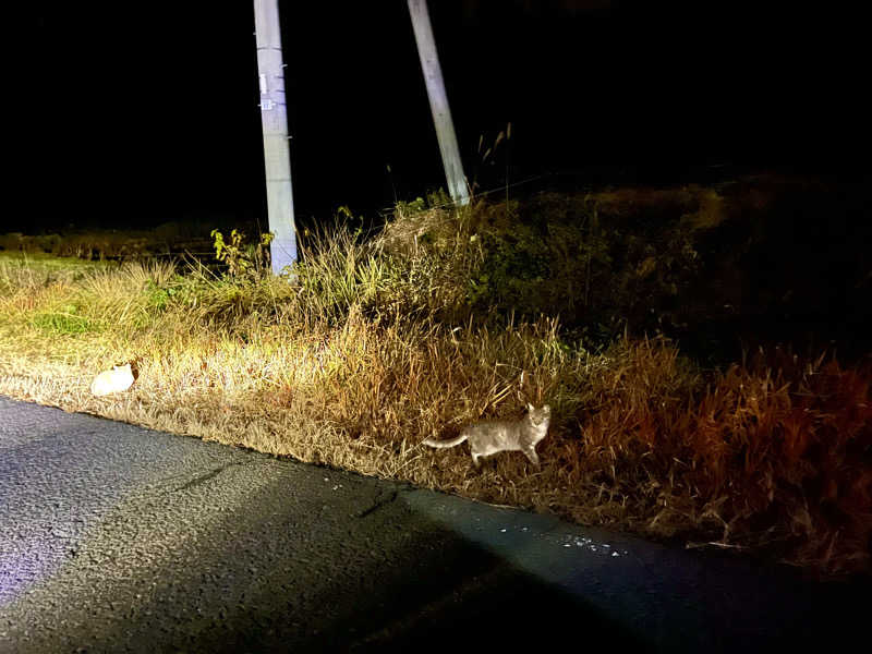 ライもんさんの高源ゆのサ活写真