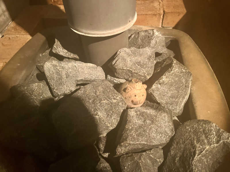 ライもんさんのThe Saunaのサ活写真