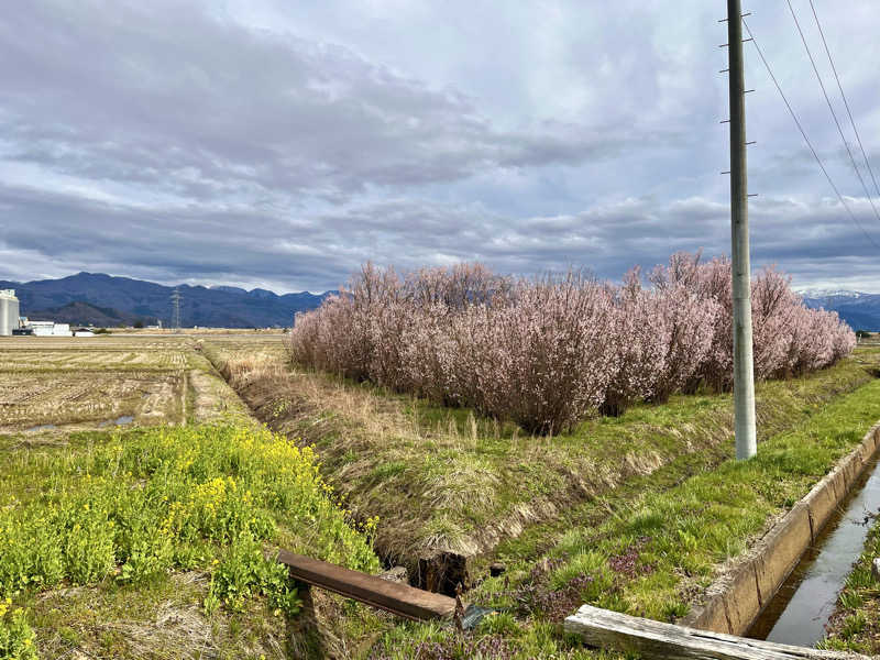 ライもんさんの水沢温泉館のサ活写真