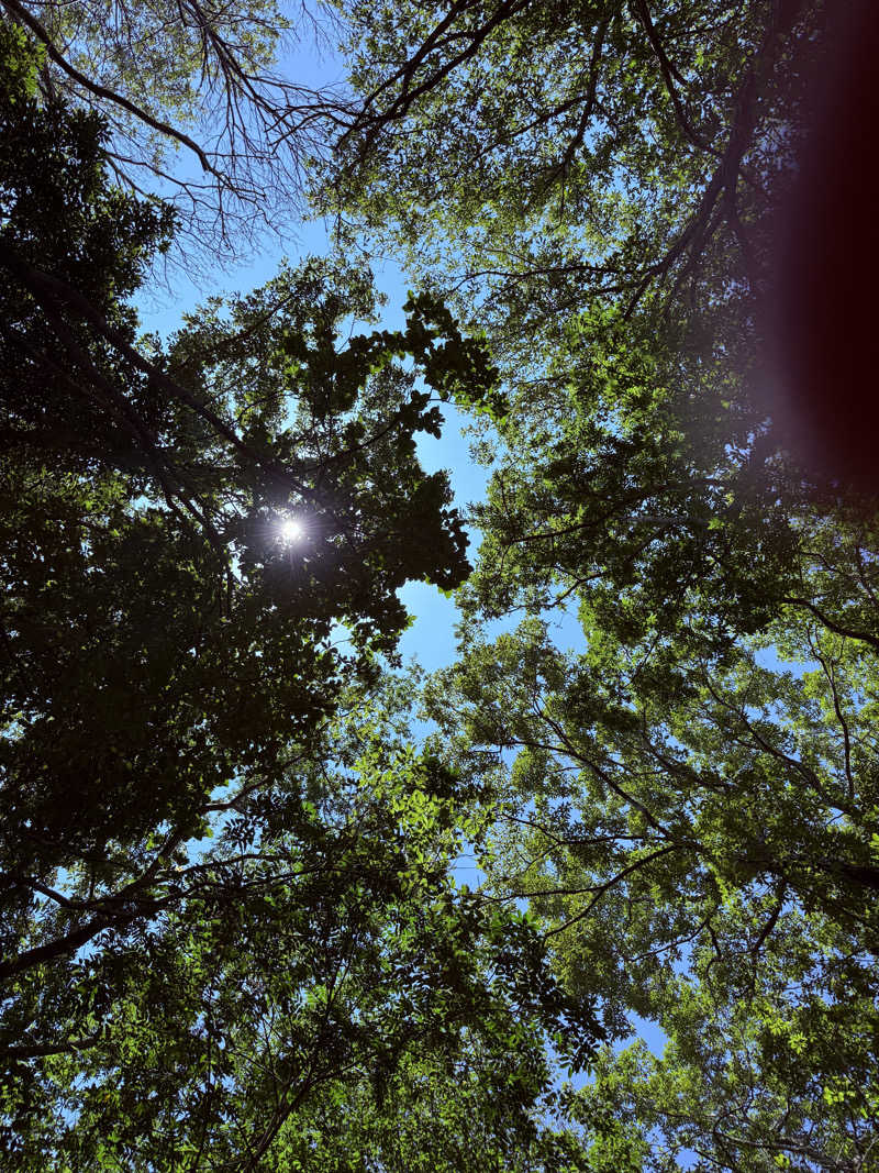 りゅうすけさんの宇部サウナセンターのサ活写真