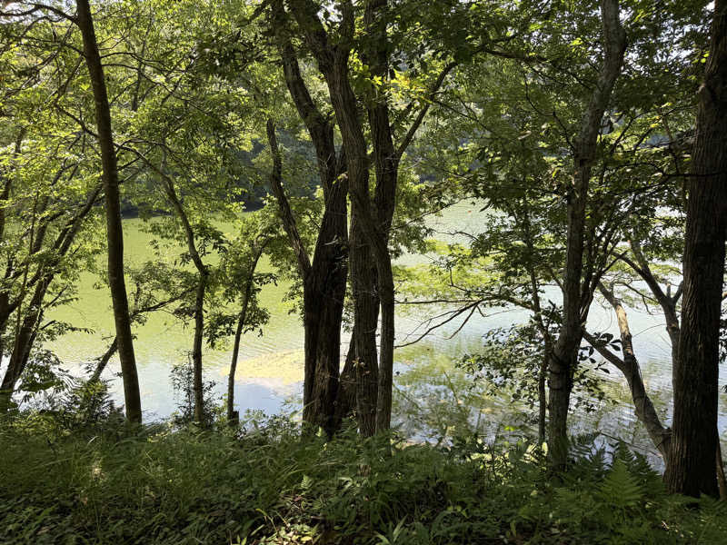 りゅうすけさんの宇部サウナセンターのサ活写真