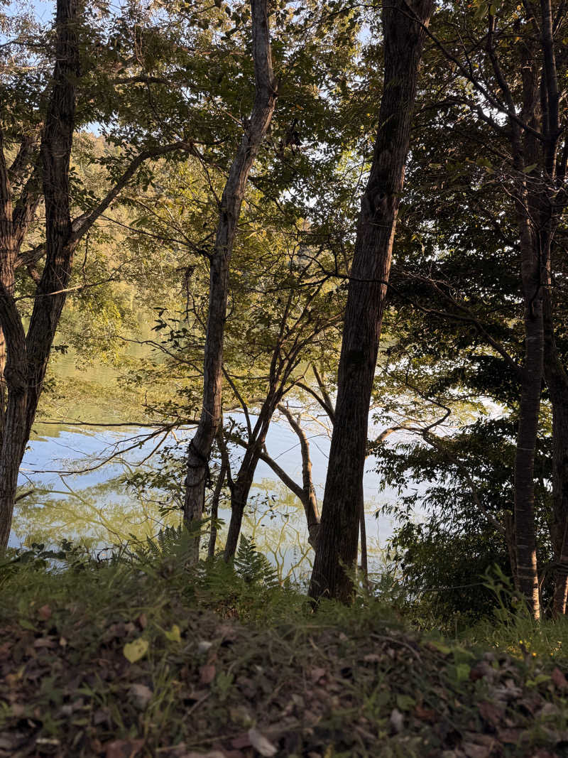 りゅうすけさんの宇部サウナセンターのサ活写真