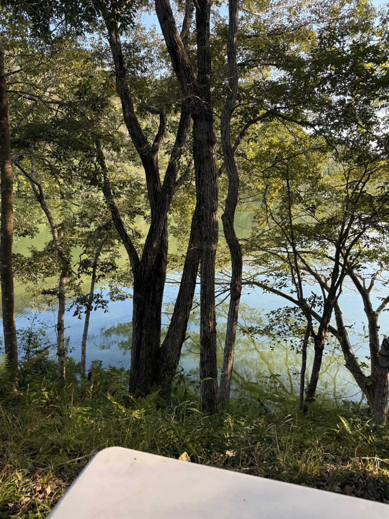 りゅうすけさんの宇部サウナセンターのサ活写真