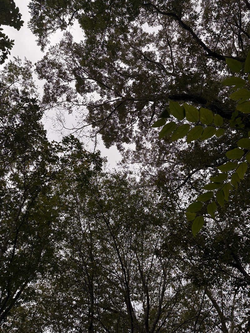 りゅうすけさんの宇部サウナセンターのサ活写真