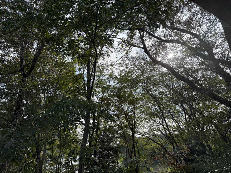 りゅうすけさんの宇部サウナセンターのサ活写真