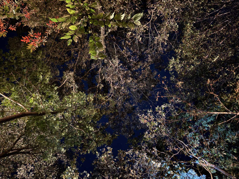 りゅうすけさんの宇部サウナセンターのサ活写真