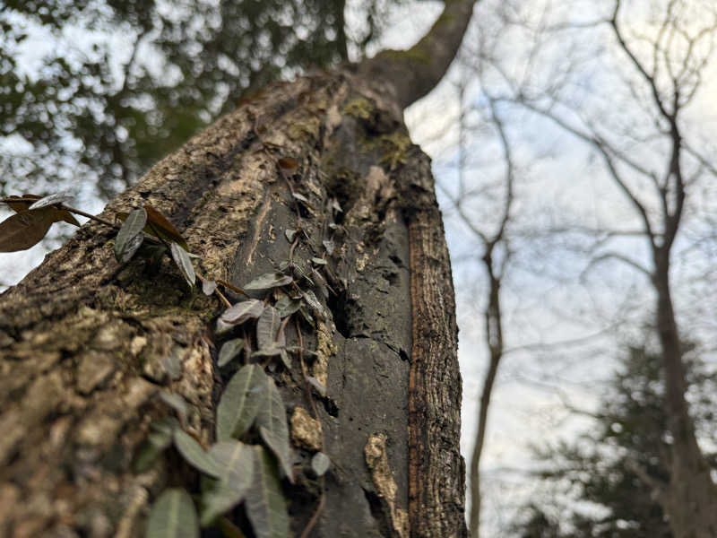 りゅうすけさんの宇部サウナセンターのサ活写真