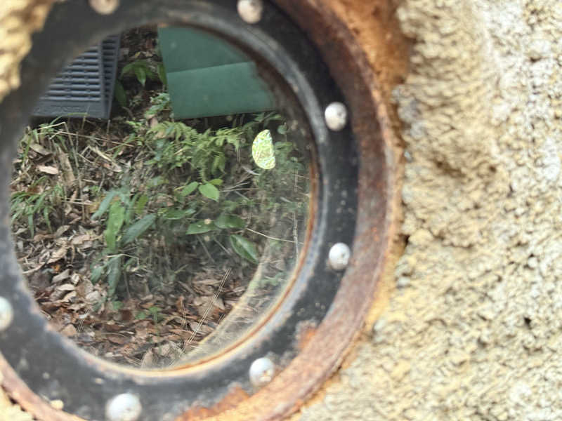 りゅうすけさんの宇部サウナセンターのサ活写真