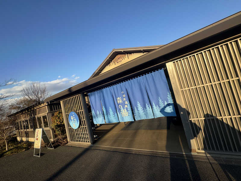 ボーノ・蒸藤　👑蒸キング👑さんの小谷流温泉 森の湯のサ活写真