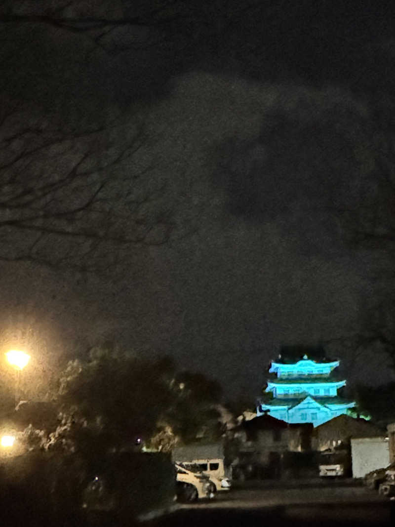 ボーノ・蒸藤　👑蒸キング👑さんの花湯スパリゾートのサ活写真