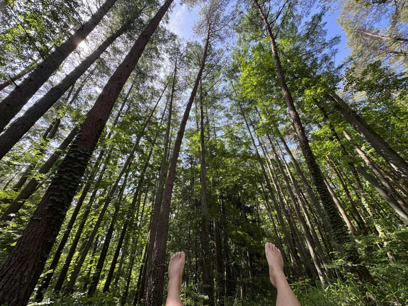 ボーノ・蒸藤　👑蒸キング👑さんのFOLKWOOD SAUNAのサ活写真