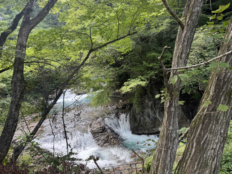 ボーノ・蒸藤　👑蒸キング👑さんのコニファーいわびつのサ活写真