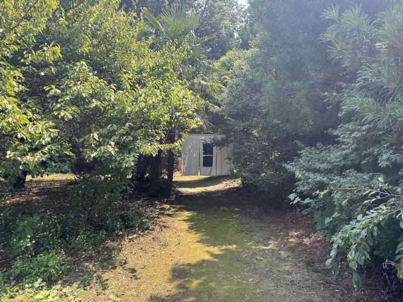 ボーノ・蒸藤　👑蒸キング👑さんのサウナ蓑蒸のサ活写真