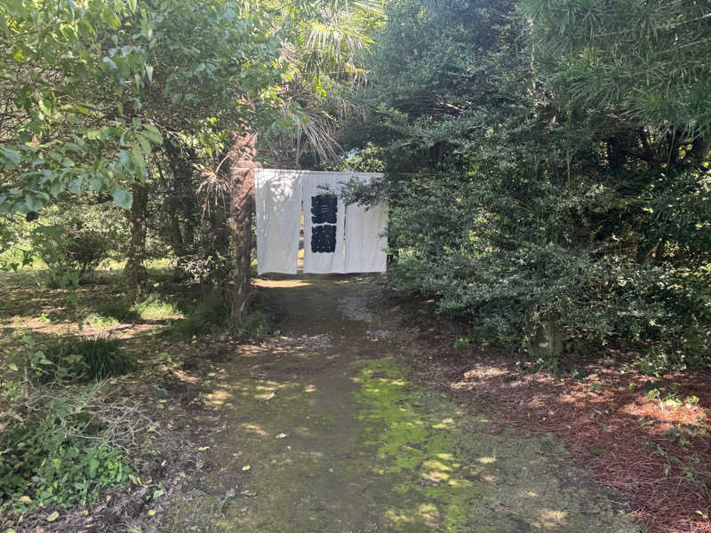 ボーノ・蒸藤　👑蒸キング👑さんのサウナ蓑蒸のサ活写真