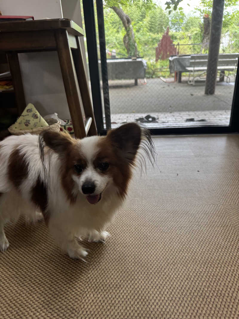 ボーノ・蒸藤　👑蒸キング👑さんの天然温泉リゾート美人の湯 カーニバルヒルズのサ活写真