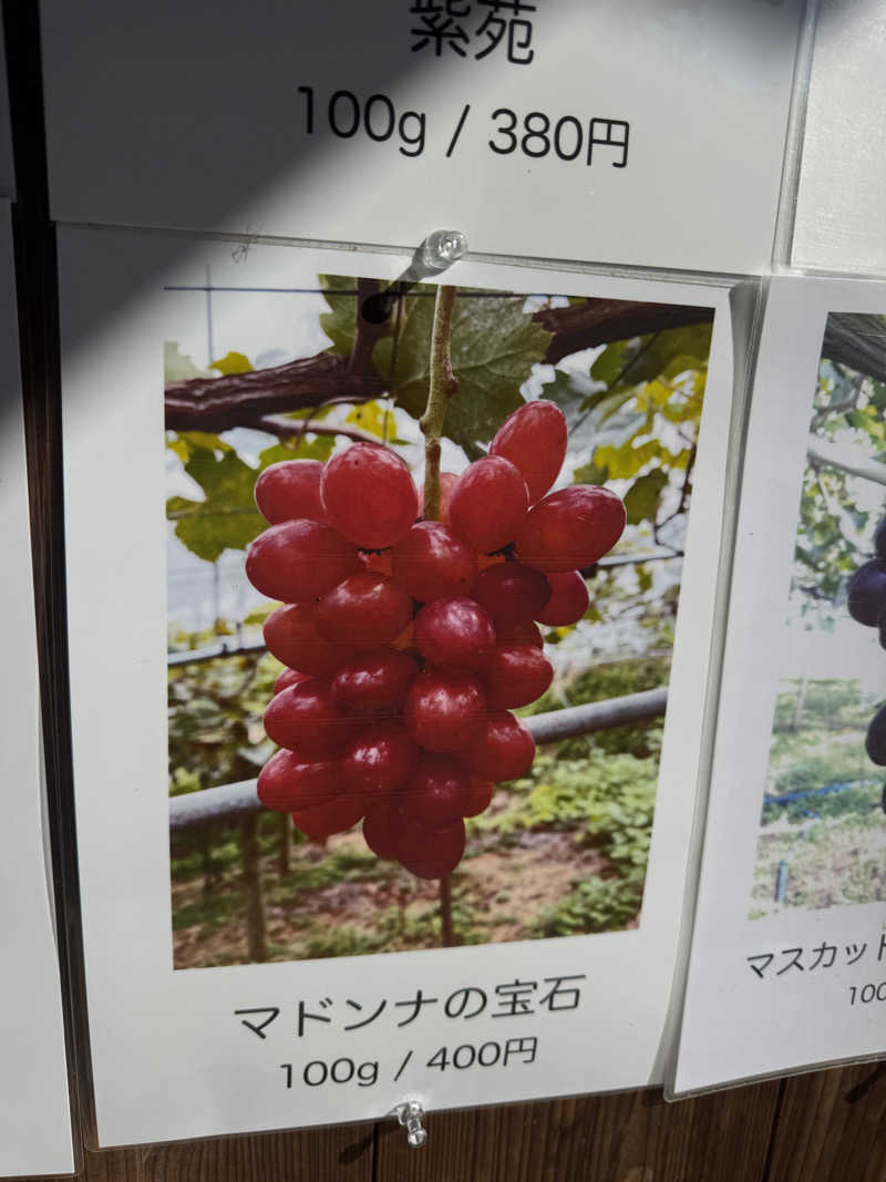 ボーノ・蒸藤　👑蒸キング👑さんの水戸市下入野健康増進センターのサ活写真