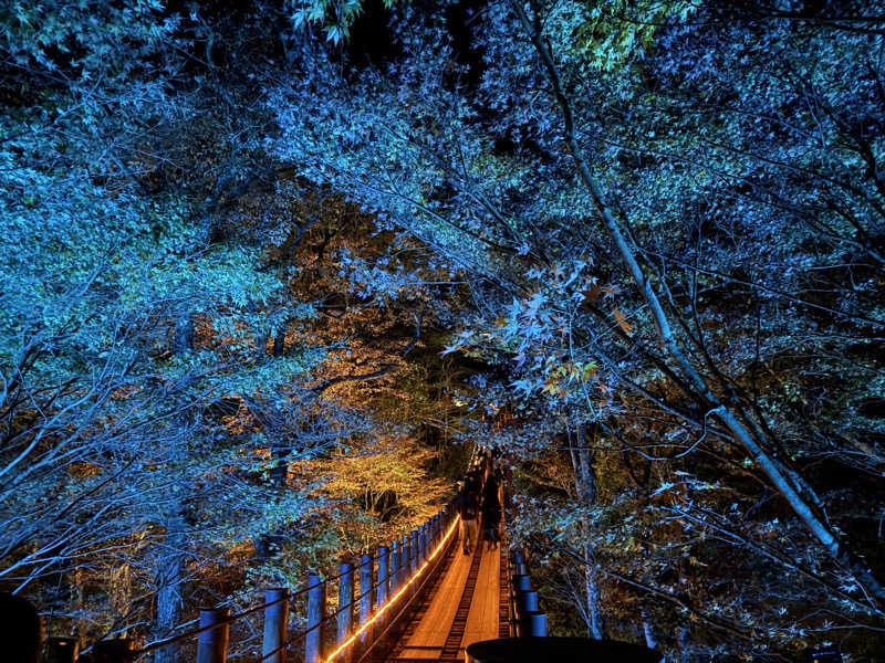 ボーノ・蒸藤　👑蒸キング👑さんの里美温泉保養センター ぬく森の湯のサ活写真