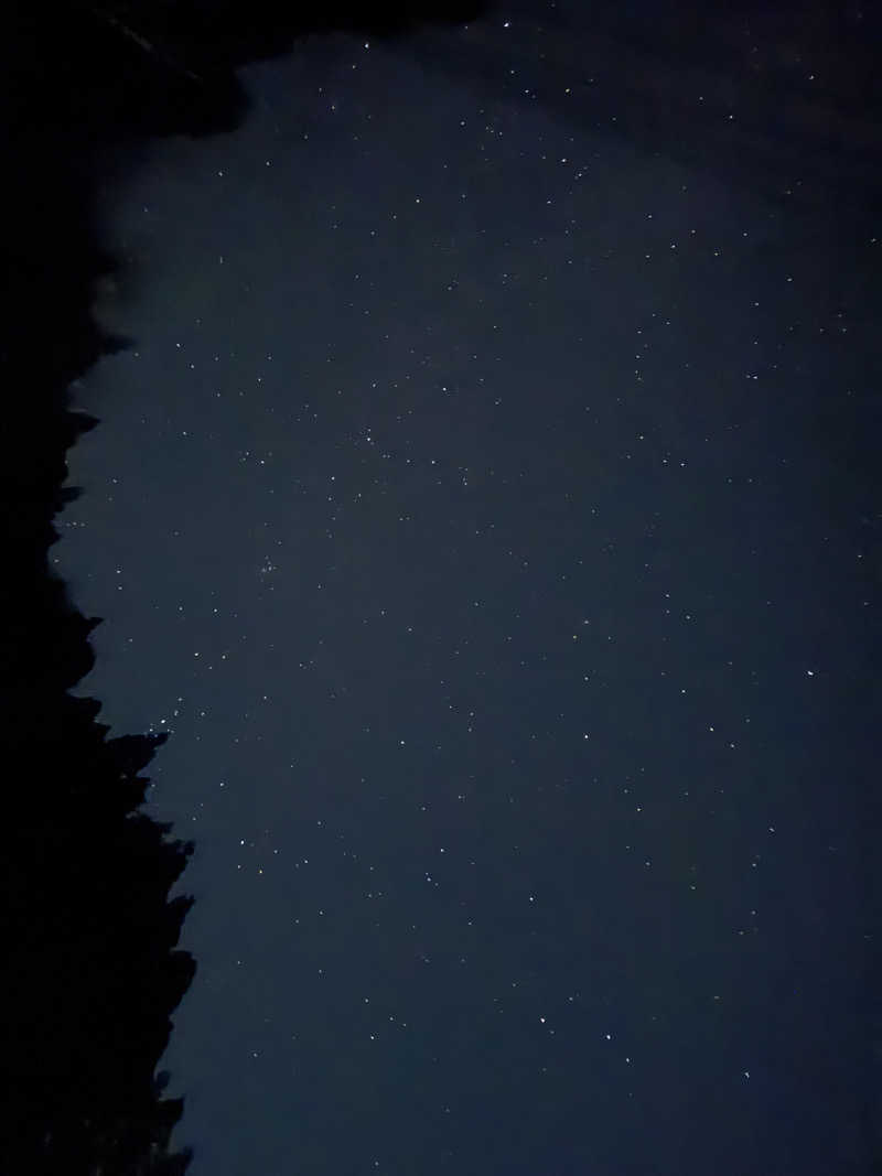 ボーノ・蒸藤　👑蒸キング👑さんの里美温泉保養センター ぬく森の湯のサ活写真