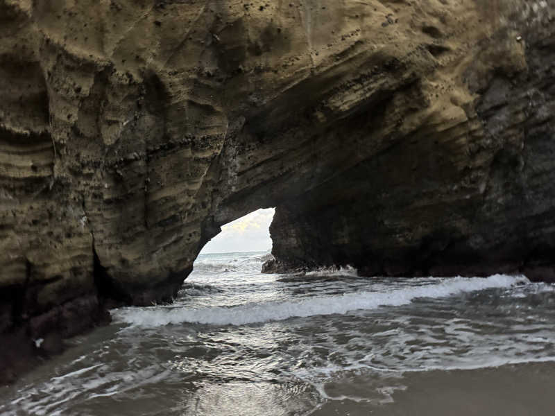 ボーノ・蒸藤　👑蒸キング👑さんのSauna HealingDragon ヒーリングドラゴンのサ活写真