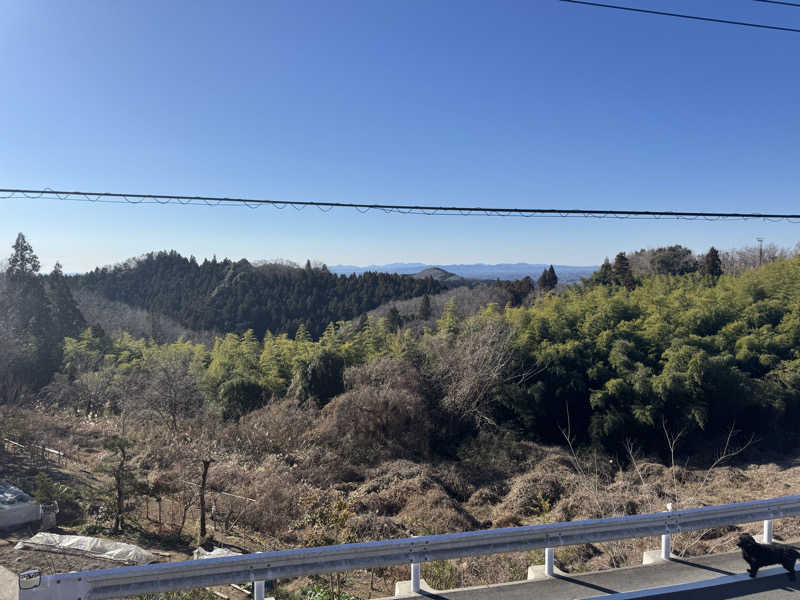 ボーノ・蒸藤　👑蒸キング👑さんのサウナ民泊こちやのサ活写真