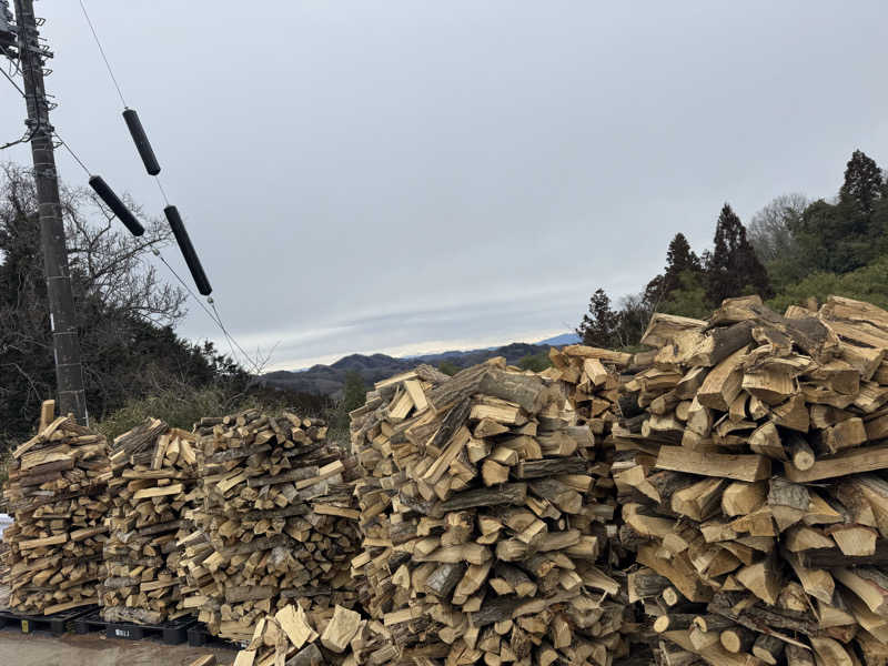 ボーノ・蒸藤　👑蒸キング👑さんのサウナ民泊こちやのサ活写真