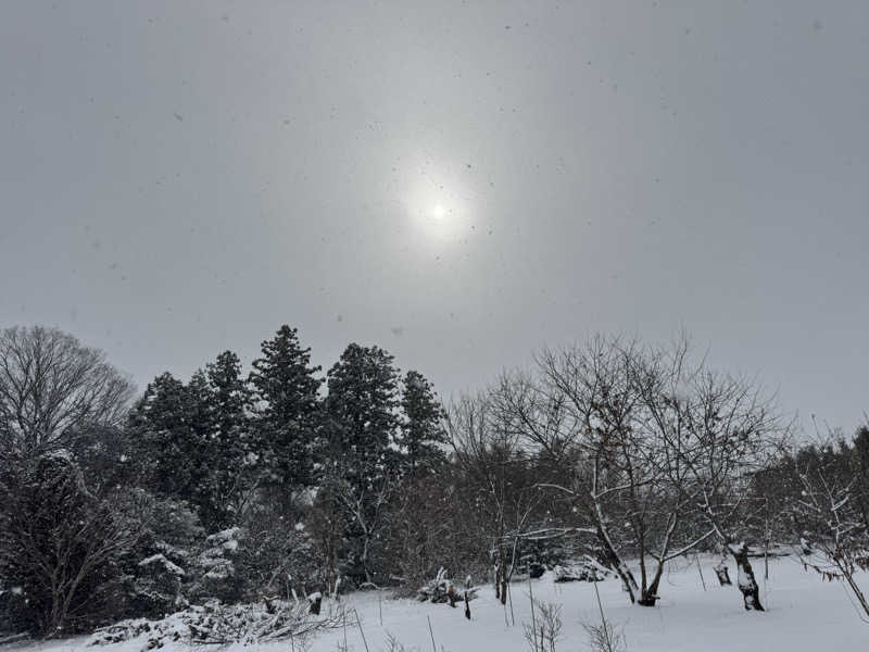 ボーノ・蒸藤　👑蒸キング👑さんのサウナ蓑蒸のサ活写真
