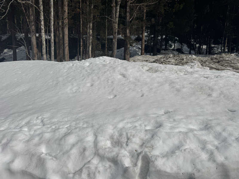 ボーノ・蒸藤　👑蒸キング👑さんの神の湯のサ活写真