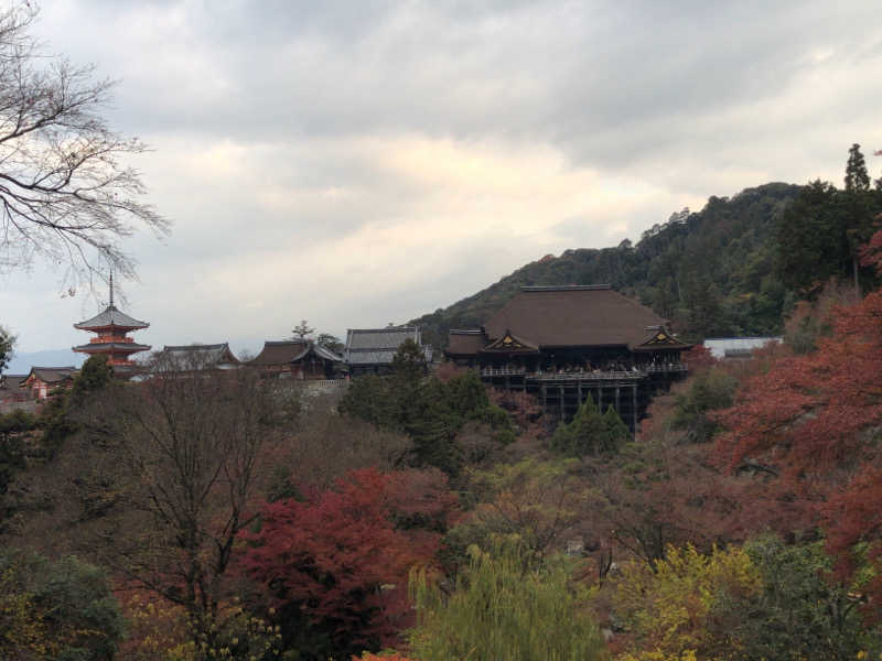 ぴぐ＠赤髪サウナーさんのサウナの梅湯のサ活写真