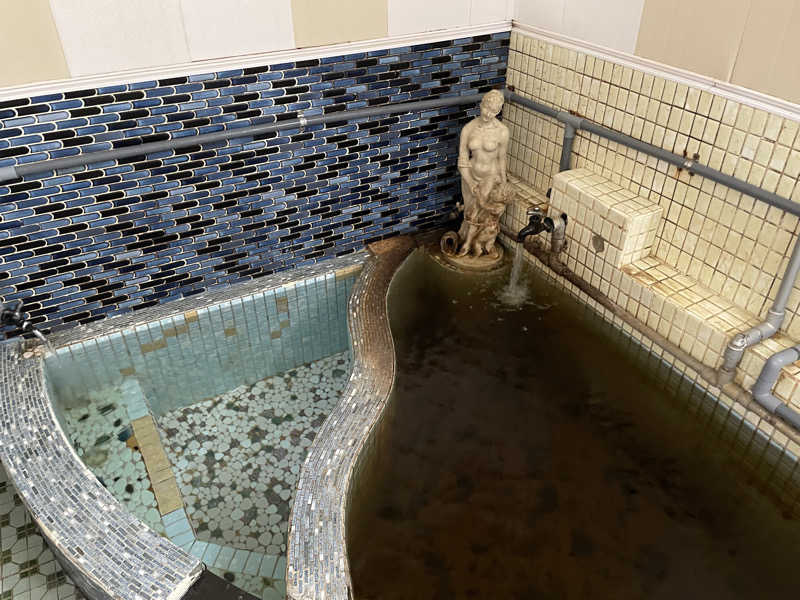 jokaさんのローマの泉のサ活写真