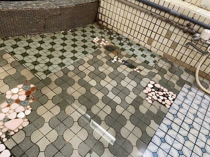 jokaさんのローマの泉のサ活写真