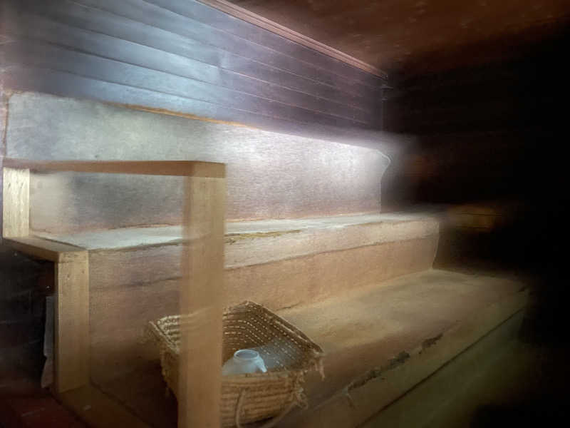 jokaさんのローマの泉のサ活写真