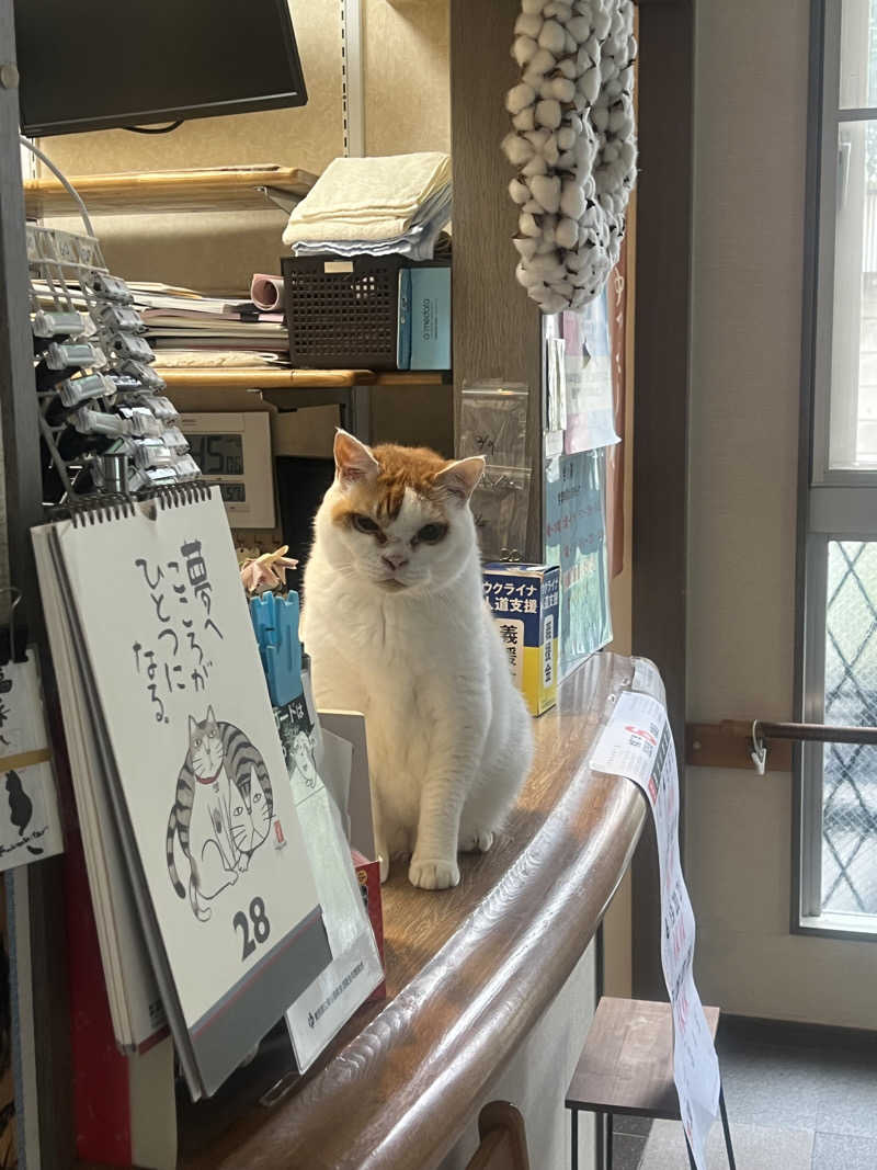ぶろニキさんの岩乃湯のサ活写真