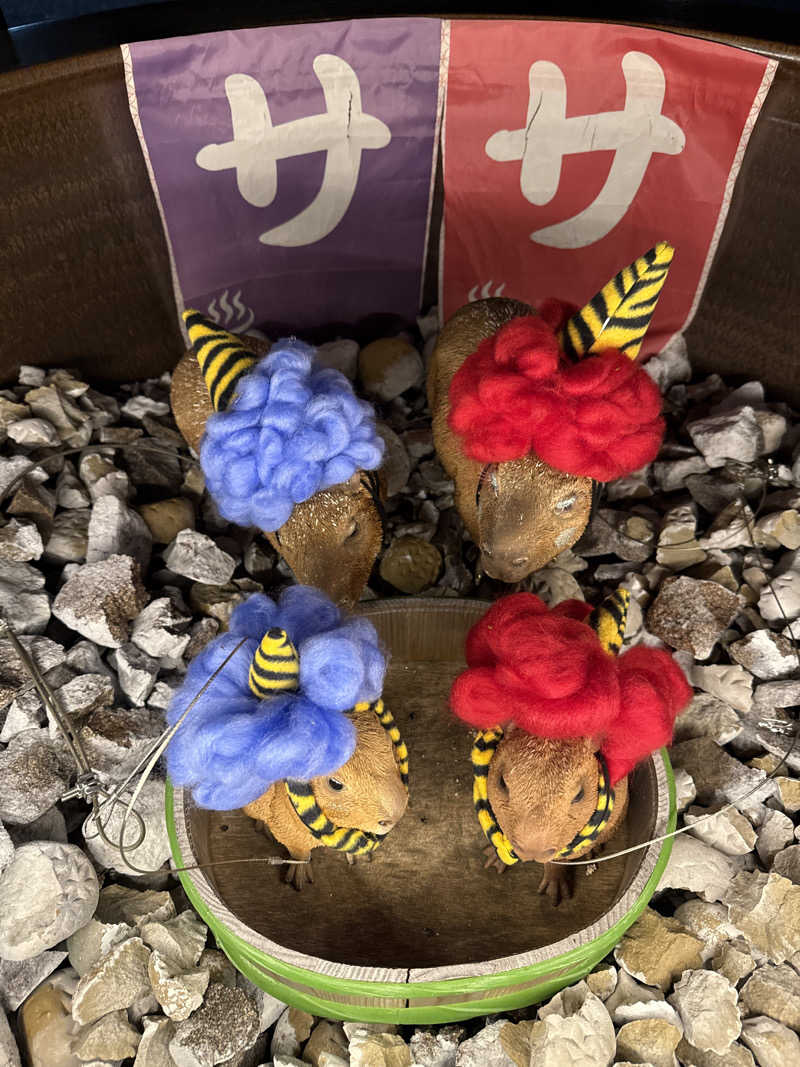 ZUMAさんの富士山天然水SPA サウナ鷹の湯のサ活写真
