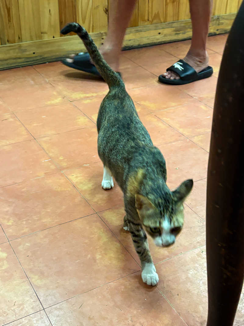 k-manさんのSilom Sauna Sathonのサ活写真