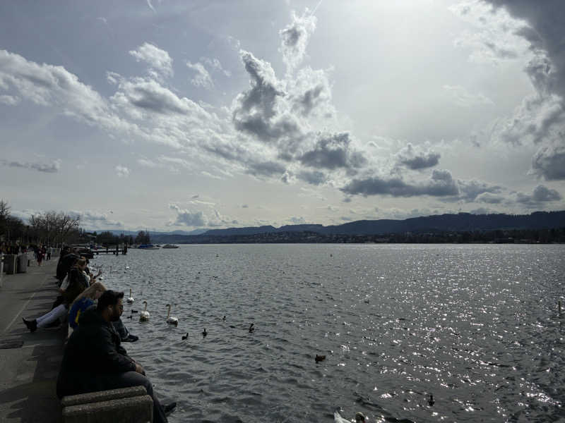 蒸し侍さんのSeebad Enge / Lakeside Saunaのサ活写真