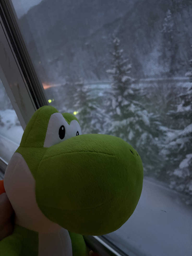 道民たいがくんさんの緑の風 リゾート きたゆざわのサ活写真