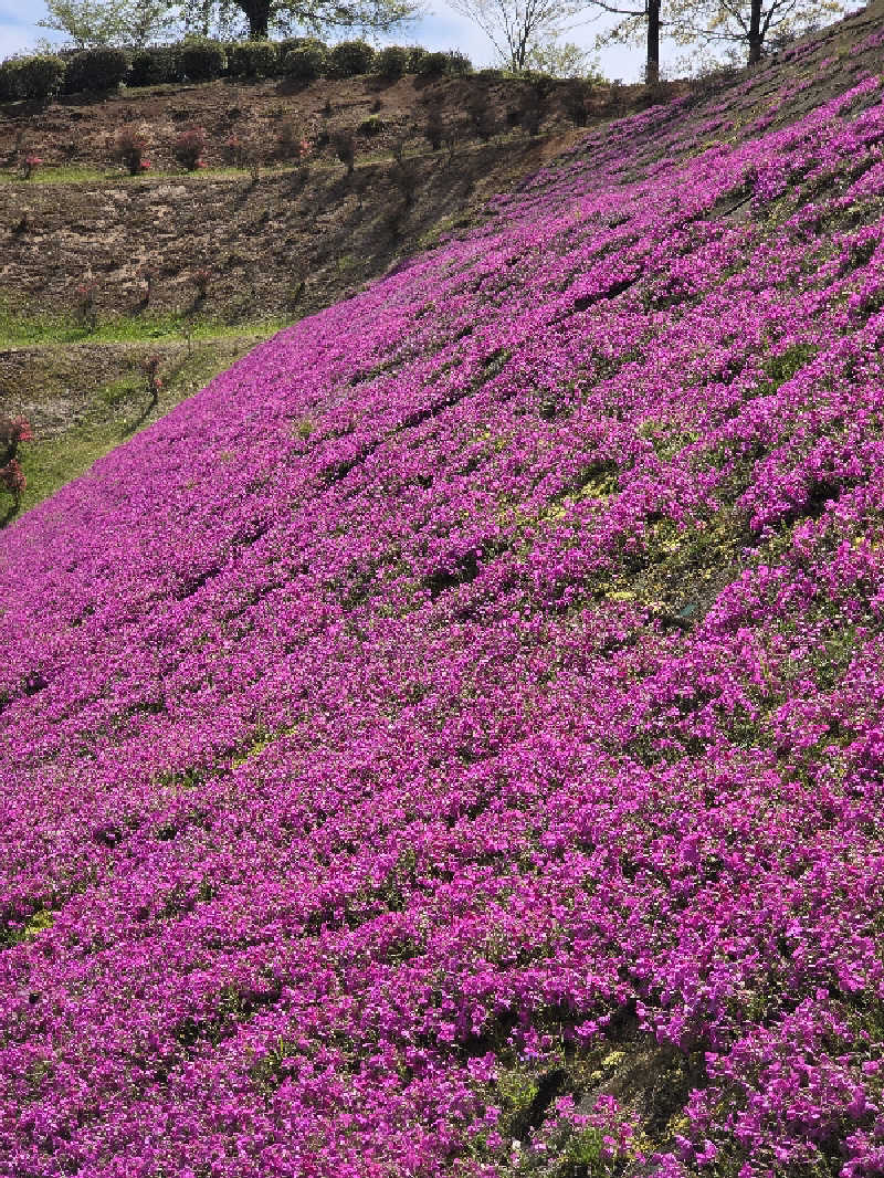 ダンディーウシオさんの山江温泉ほたるのサ活写真