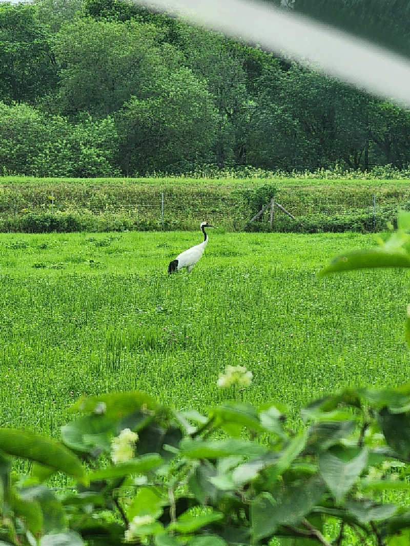 ノブ　サ活♨さんの道の駅 しらぬか恋問館のサ活写真
