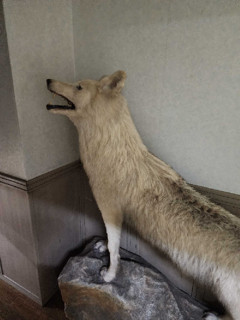 ノブ　サ活♨さんの楽々温泉のサ活写真