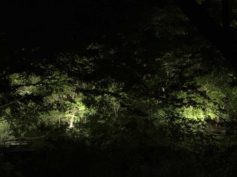 む し (›´🐽`‹ ) 住居不定有職さんの天山湯治郷 ひがな湯治 天山のサ活写真