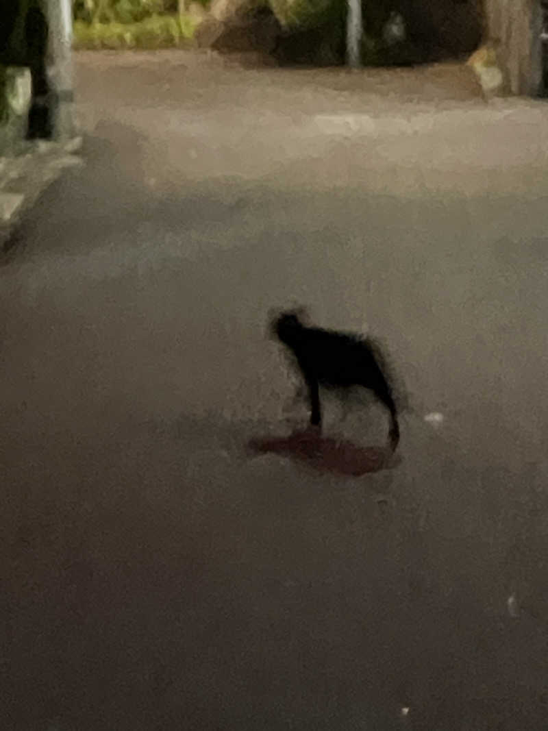 む し (›´🐽`‹ ) 住居不定有職さんのアクア東中野のサ活写真