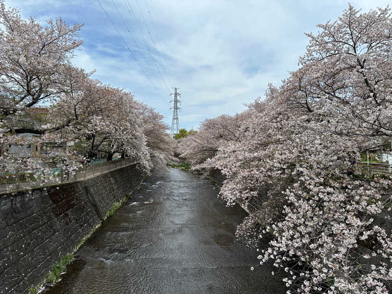 もっくんさんの横浜青葉温泉 喜楽里別邸のサ活写真