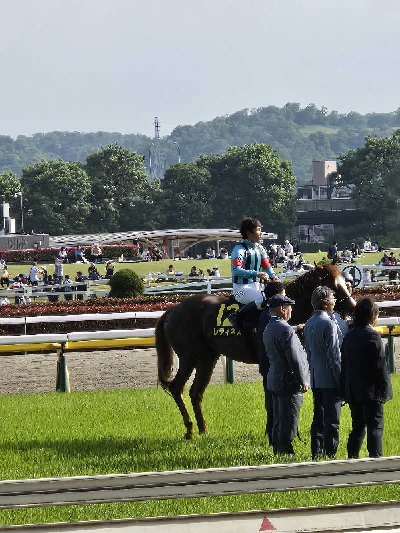 ロキオットさんの府中湯楽館 桜湯のサ活写真