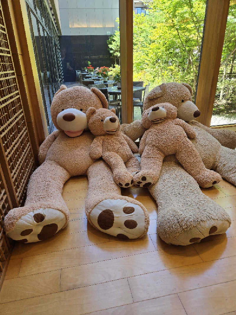 ロキオットさんの綱島源泉 湯けむりの庄のサ活写真